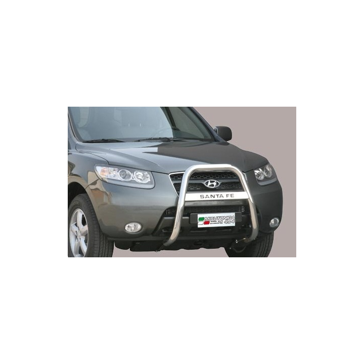 Hoher Frontschutzbügel 2006 - 2010 Hyundai Santa Fe MA/K/176