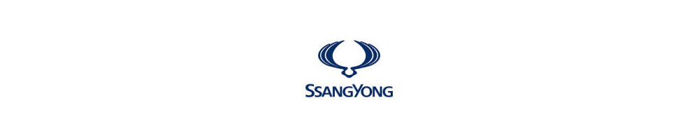 Misutonida front bars, side steps, accessories for  SsangYong XLV
