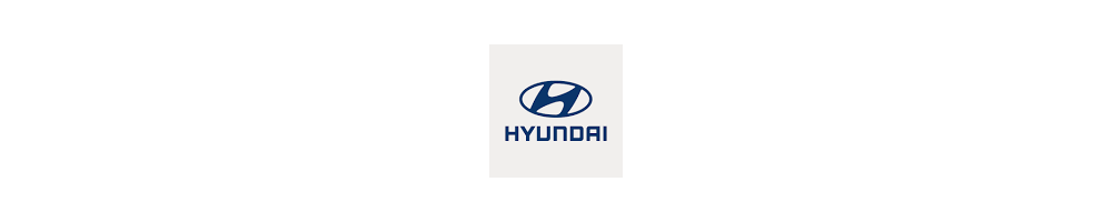 Misutonida front bars, side steps, accessories for   Hyundai H1 2008-2017