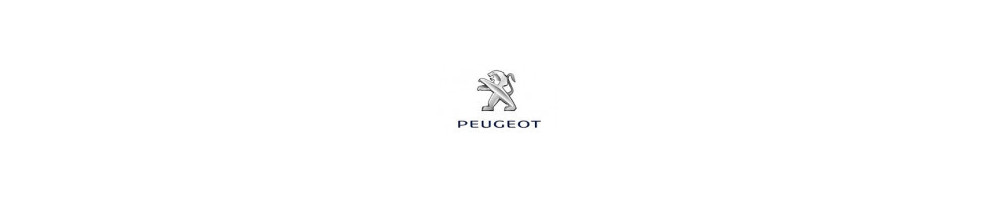 Misutonida accessories Peugeot Boxer MWB - SWB - LWB 2024 - | stainless steel bars